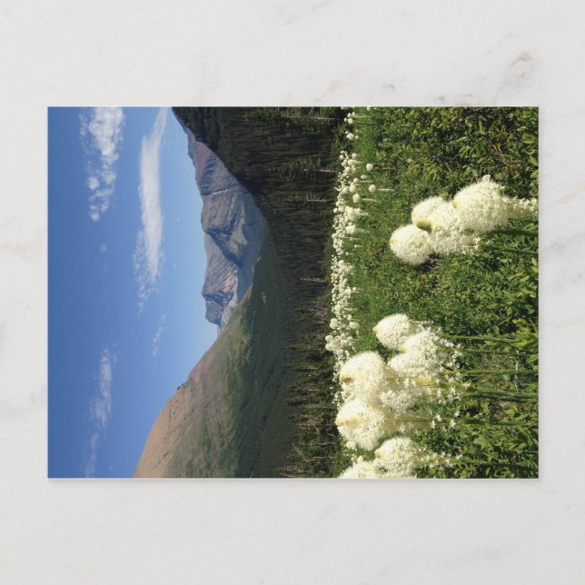 Carte postale du parc national du Glacier de l'Her (Devant)