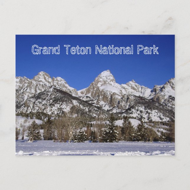 Carte postale du parc national du Grand Teton (Devant)