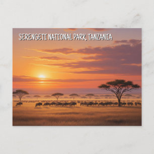 Carte postale du Parc national du Serengeti en Tan