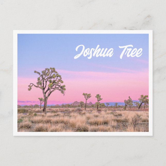Carte postale du Parc national Joshua Tree Sunset  (Devant)