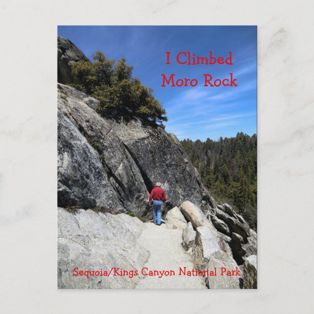 Carte postale du parc national Moro Rock Sequoia (Devant)