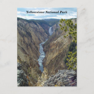 Carte postale du parc national Yellowstone