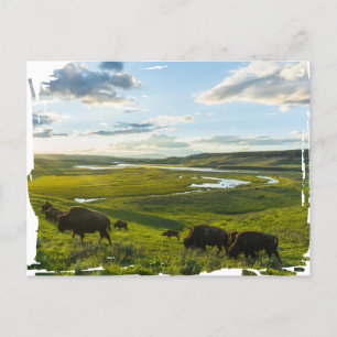 Carte postale du parc national Yellowstone