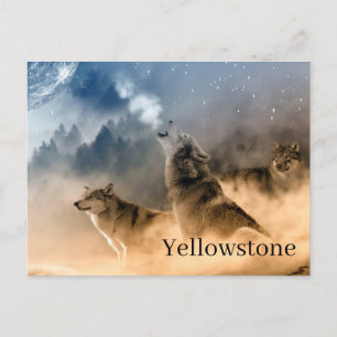 Carte postale du parc national Yellowstone
