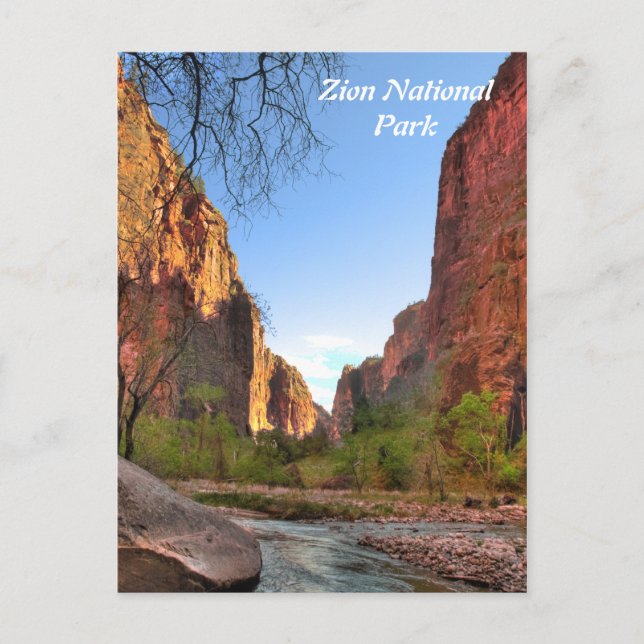 Carte postale du parc national Zion (Devant)