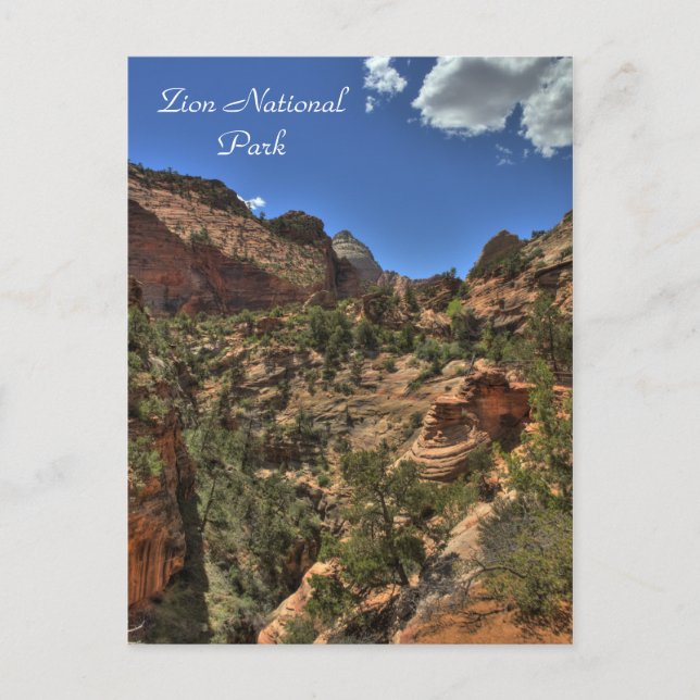 Carte postale du parc national Zion (Devant)
