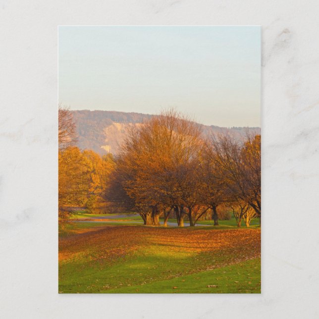 Carte postale du parc Rheinaue (Devant)