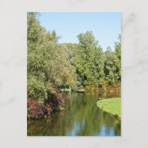 Carte postale du parc Rheinaue