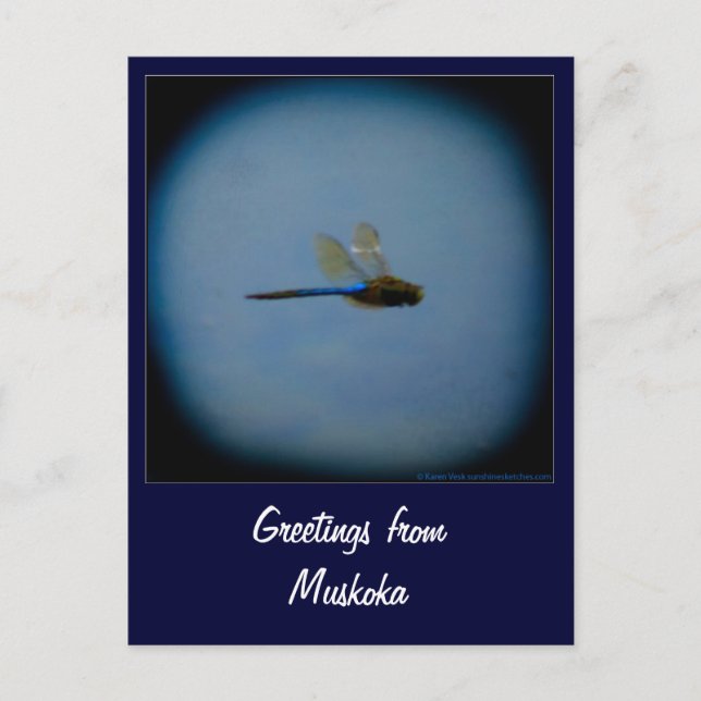 Carte postale du pays de vacances (Devant)