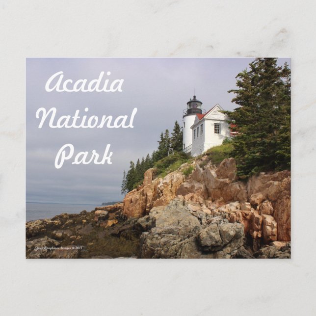 Carte postale du phare de Bass Harbour (Devant)