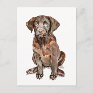Carte postale du Retriever du Labrador