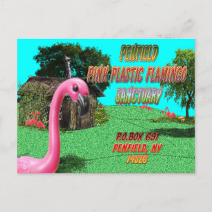 carte postale du sanctuaire des flamants roses en 