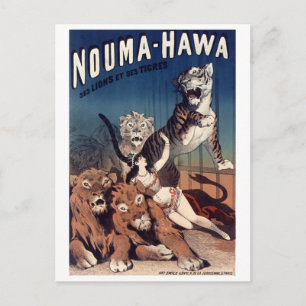 Carte postale du spectacle de cirque antique