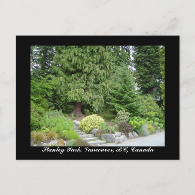 Carte postale du Stanley Park, Vancouver, BC (Devant)