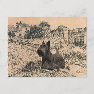 Carte postale du Terrier Écossais