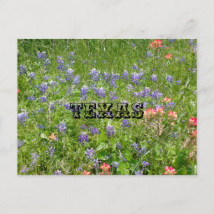 Carte postale du TEXAS