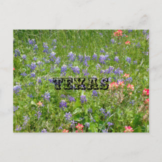 Carte postale du TEXAS
