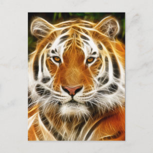 Carte postale du tigre