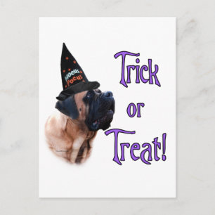 Carte postale du tour de Mastiff Abricot