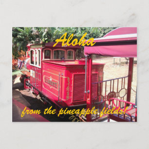Carte postale du train Hawaii Pineappy
