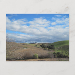 Carte postale du vignoble Paso Robles en janvier