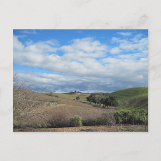 Carte postale du vignoble Paso Robles en janvier (Devant)