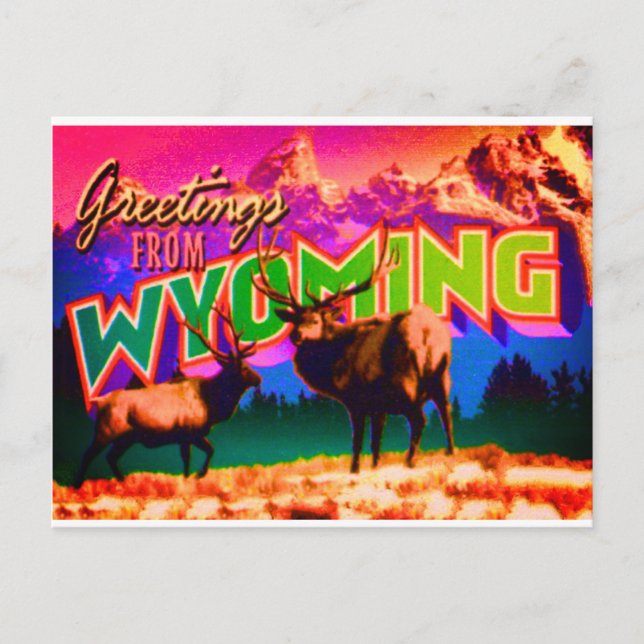 Carte postale du Wyoming (Devant)
