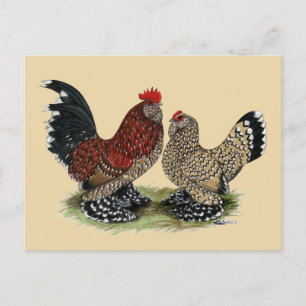 Carte Postale D'Uccle Bantams :  Mille Fleur