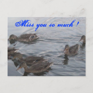 CARTE POSTALE DUCKS