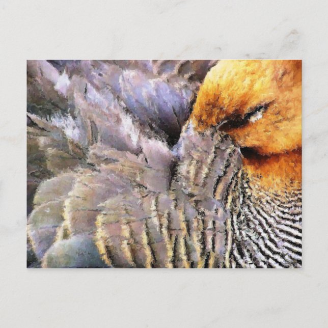 CARTE POSTALE DUCKS (Devant)