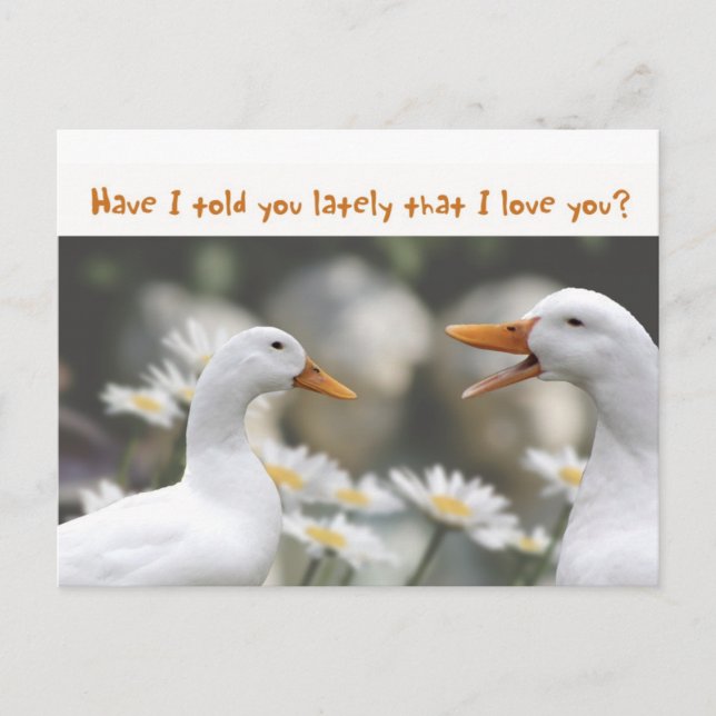 Carte Postale DucktoDuckLove vous (Devant)