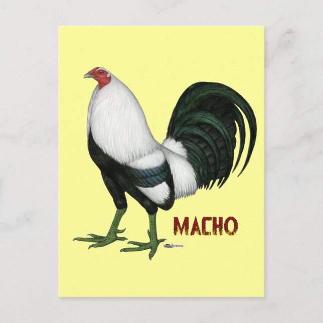 Carte Postale Duckwing Gamecock (Devant)