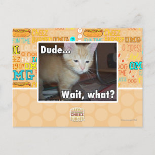 Carte Postale Dude