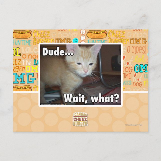 Carte Postale Dude (Devant)