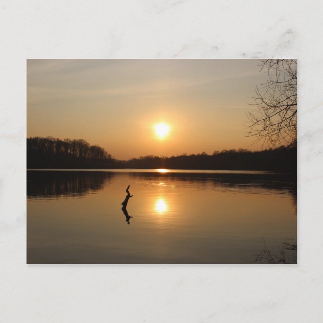 Carte postale d'un beau coucher de soleil au bord  (Devant)