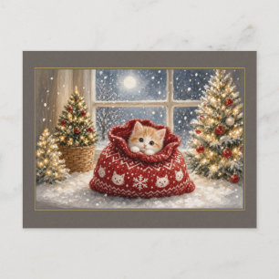 Carte postale d'un chaton dans un bas tricoté roug