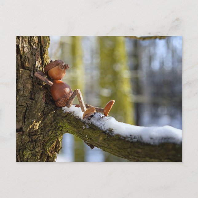Carte postale d'un Elfe Gland dans une forêt ennei (Devant)