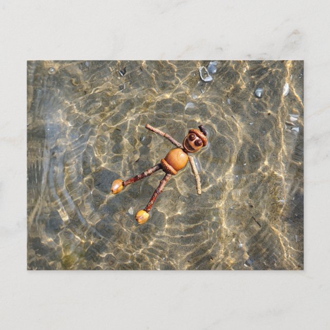Carte postale d'un Elfe Gland flottant dans l'eau (Devant)