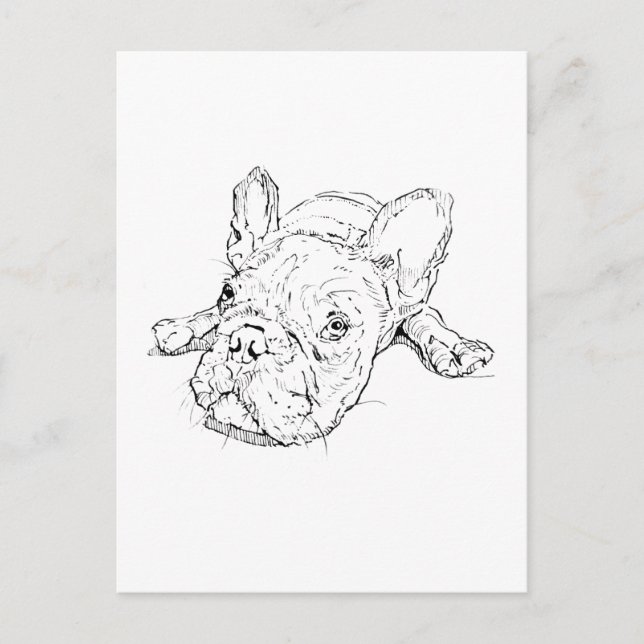 Carte postale d'un joli Bouledogue français (Devant)
