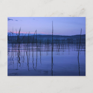Carte postale d'un lac serein et brumeux après de 