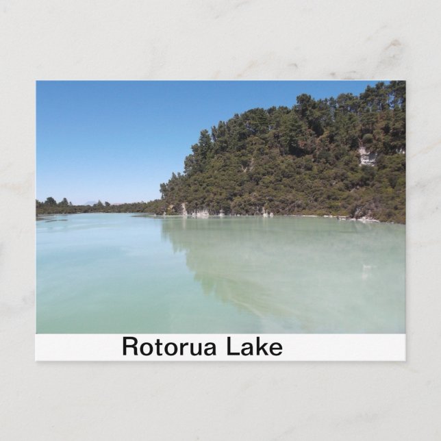 Carte postale d'un magnifique lac à Rotorua (Devant)