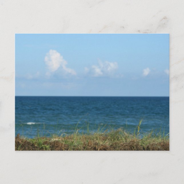 Carte Postale Dune de plage avec eau bleue et ciel, Floride (Devant)