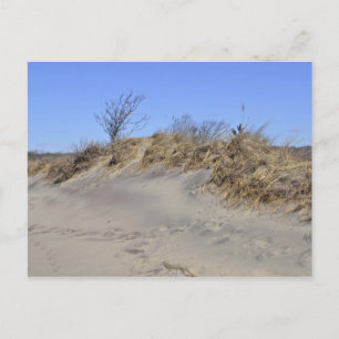 Carte postale Dune de sable