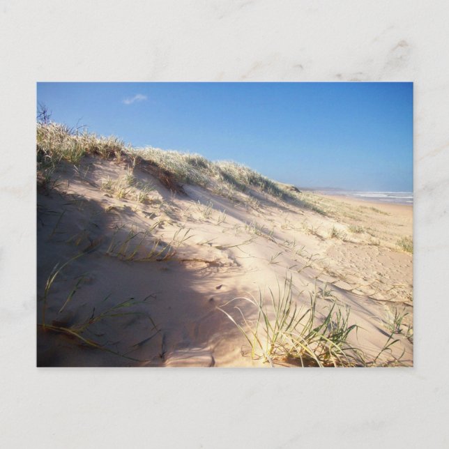 Carte Postale Dune de sable (Devant)