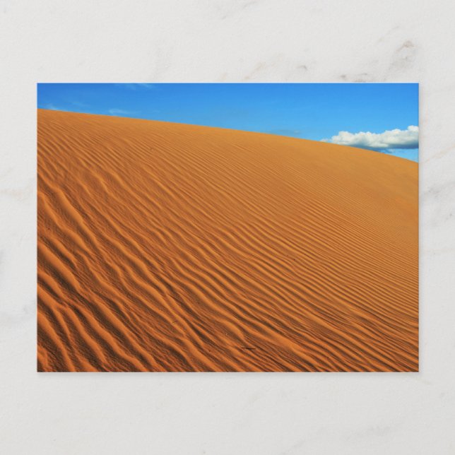 Carte postale "dune de sable" (Devant)