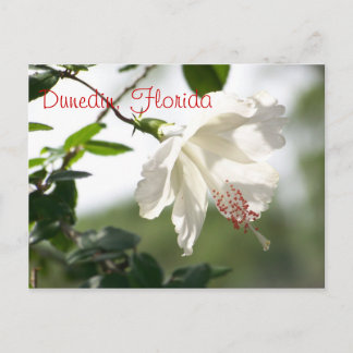 Carte Postale Dunedin, Floride