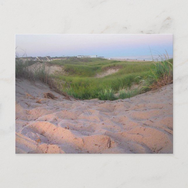 Carte Postale Dunes à Montauk (Devant)
