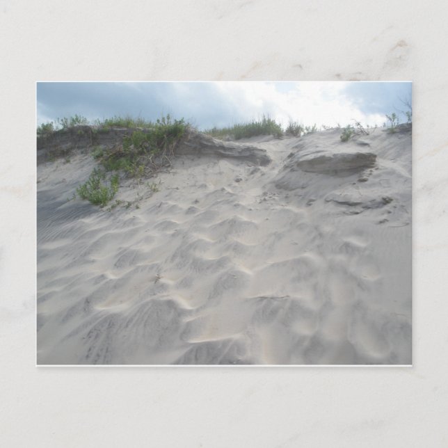 Carte Postale Dunes à Oregon Inlet (Devant)