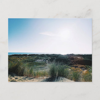 Carte Postale Dunes de Foxton Beach