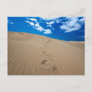 Carte Postale Dunes de Grande Canarie